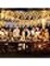 Warm White Curtain String Lights for Wedding House Patio Party Fireplace Holiday Decorations